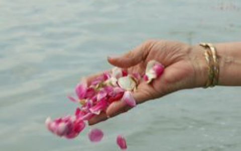 Senya strooit rozenblaadjes uit over het water